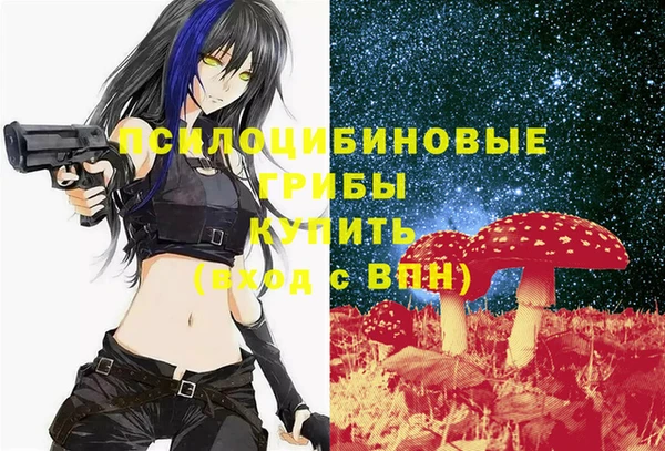 mdpv Армянск