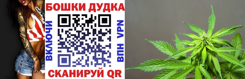 Бошки Шишки VHQ Луга